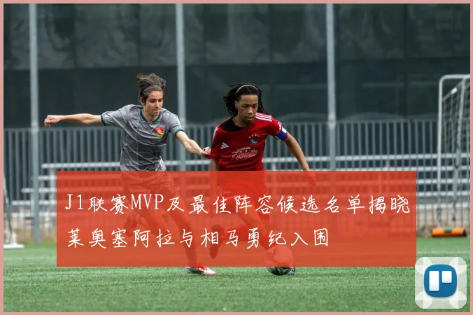 J1联赛MVP及最佳阵容候选名单揭晓莱奥塞阿拉与相马勇纪入围